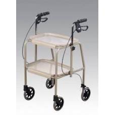 Trolley Walker with Brakes